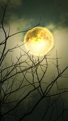 Wall Mural - Full moon at night in the trees