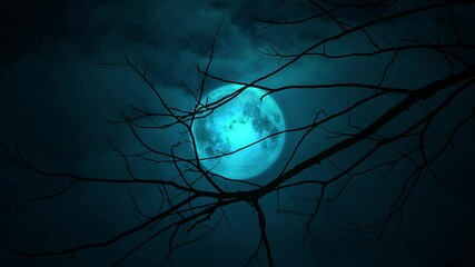 Wall Mural - Full moon at night in the trees