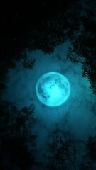 Wall Mural - Full moon at night in the trees