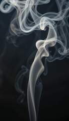 Poster - Elegant Swirling Smoke Patterns on Dark Background for Captivating Art