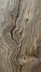 Poster - Abstract Close-Up of Natural Wood Grain with Smooth Lines and Textures