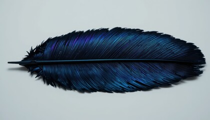 Poster - Vibrant Blue Feather on a Light Background for Artistic Use