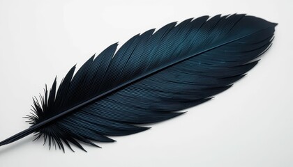Poster - Elegant Blue Feather on White Background for Creative Projects