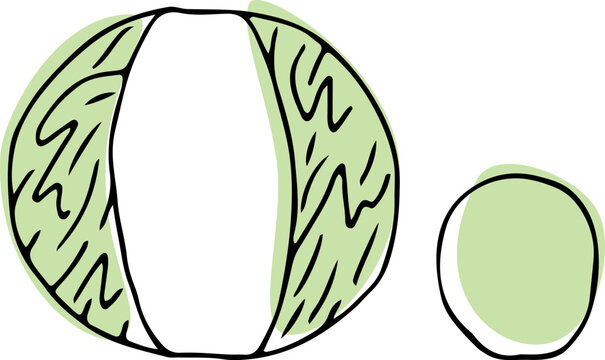 capital letter O and lowercase letter o hand drawn in black with shaded lines capital letter with light green fills in a rounded shape