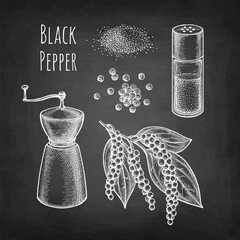 Canvas Print - Set of chalk sketches of black pepper