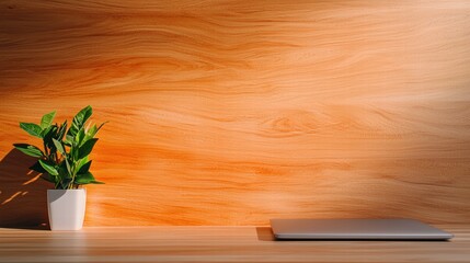 Poster - Sleek laptop and lush green plant arranged on a wooden desk creating a productive workspace vibe