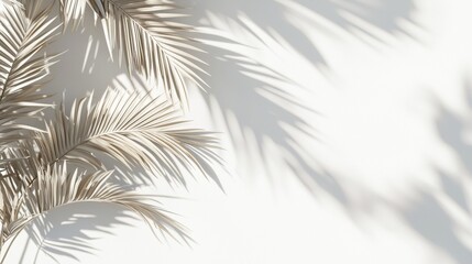 Poster - Tropical palm leaves casting shadows on a white wall creating a summer background with space for copy, perfect for travel and vacation themes