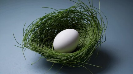 Aufkleber - White egg in green grass nest on blue background. Nature and freshness concept