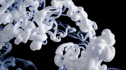 Poster - White and blue ink swirling in water against black background. Artistic abstract concept