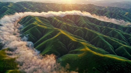 Poster - Lush green hills with winding clouds at sunrise, serene landscape. Nature tranquility concept