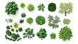 © idharmaian - Collection of various trees and plants top-down views