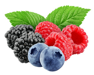Wall Mural - wild berries mix, raspberry, blueberries, blackberries isolated on white background, full depth of f
