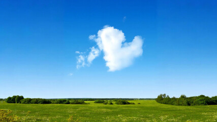 Wall Mural - Heart - Cloud over the Vast Prairie. Expansive green grassland, a heart - shaped cloud floating in a deep blue sky, small fluffy clouds around.