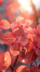 Fototapete - Colorful abstract flowers wallpaper poster background