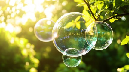Poster - Several transparent bubbles floating in front of vibrant green foliage