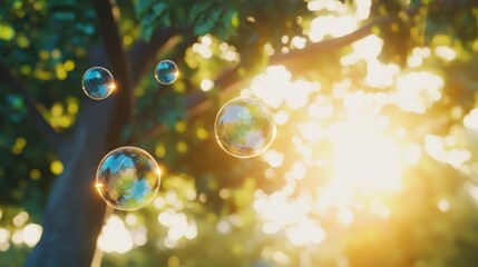 Poster - Soap bubbles floating amongst leaves in bright sunlight during daytime