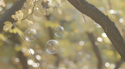 Poster - Floating Soap Bubbles Reflecting Light Amidst Autumnal Branches and Leaves