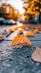 Poster - A close up photo of a fallen autumn leaf resting