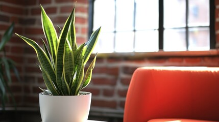 Poster - A healthy green plant sitting near a red chair indoors