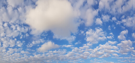 Wall Mural - blue sky. sky and cloud