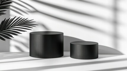 Poster - Two black cylindrical pedestals presented with palm leaf shadows
