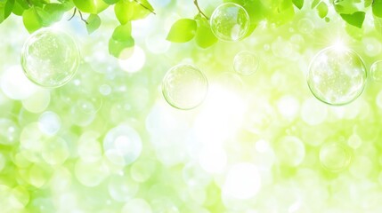 Poster - Beautiful green scenery with floating bubbles and leaves above sunshine