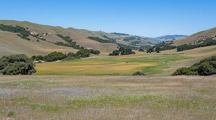 Poster - Rolling hills and fields create a beautiful and natural landscape scene