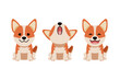 © jaaakworks - Set of vector cartoon character cute corgi dog for design.