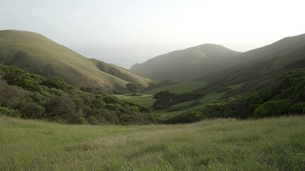 Poster - Lush green valley scene with rolling hills and visible ocean