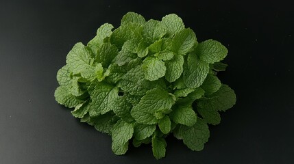 Poster - A fresh heap of green leafy mint is displayed against a black backdrop
