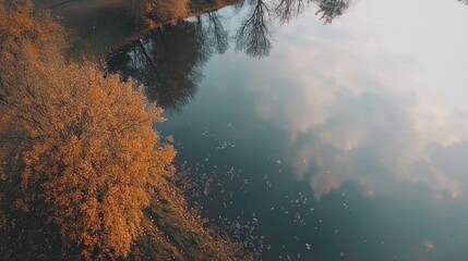 Poster - Aerial view of trees beside reflective water body and sky