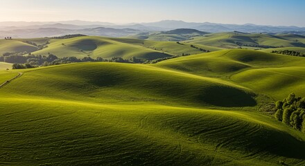 Poster - A large, green field with hills in the background