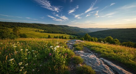 Poster - A beautiful, sunny day with a clear blue sky and a field of flowers