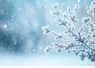 Aufkleber - Snow falling on frozen branches creating winter wonderland