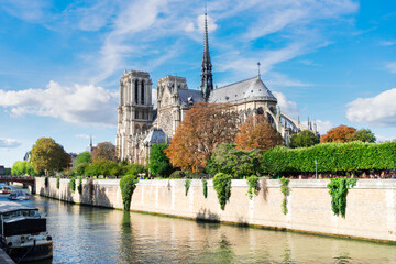 Wall Mural - notre dame cathedral, paris france