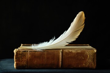 Poster - A feather rests on the cover of an open book