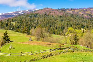 Wall Mural - rural landscape with wooden fence. countryside nature on mountain with sky and cloud. grass field fo
