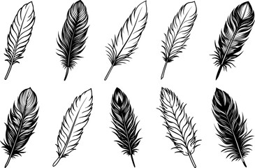 Naklejka na meble A Set of Fluffy Feather silhouette and Line art Vector Illustration