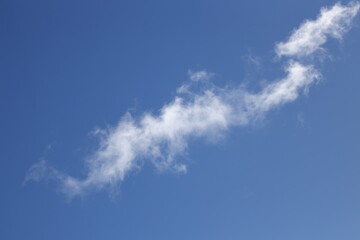 Poster - blue sky with white fluffy clouds.