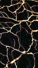 Poster - Dynamic crack formation and light refraction on dark surface