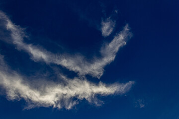 Wall Mural - blue sky background with white clouds.sky clouds.sky with white clouds.