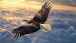 © Narayana - eagle flying above the clouds with sunlight and rainbow view