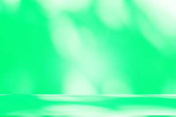 Poster - Wall interior background, studio and backdrops show products. with leaf shadow from window color green and white. background for text insertion and presentation of product	