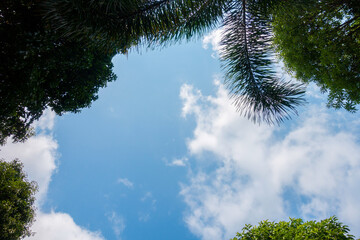 Wall Mural - clear blue sky background,clouds with background.