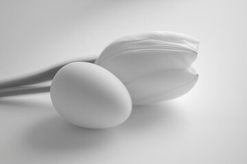 Poster - Minimalist Easter composition with monochrome painted eggs and a single tulip on a white background.