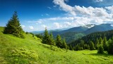 hillside of mountain range with coniferous forest and grassy meadow blue sky with cloud sunny day in spring trees on the green hill