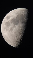 Wall Mural - half moon video through a telescope with turbulent atmosphere.