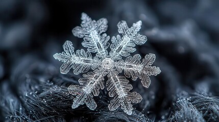 Poster - A close-up of a perfectly formed snowflake on black fabric