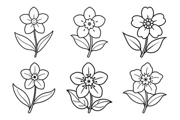 Wall Mural - Forget-me-not flower sets icon vector on White Background ,Vector Art Illustration on white background.