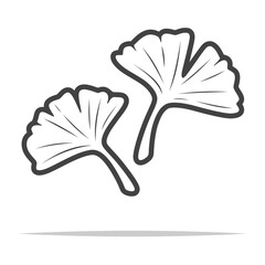 Wall Mural - ginkgo biloba leaves outline icon transparent vector isolated